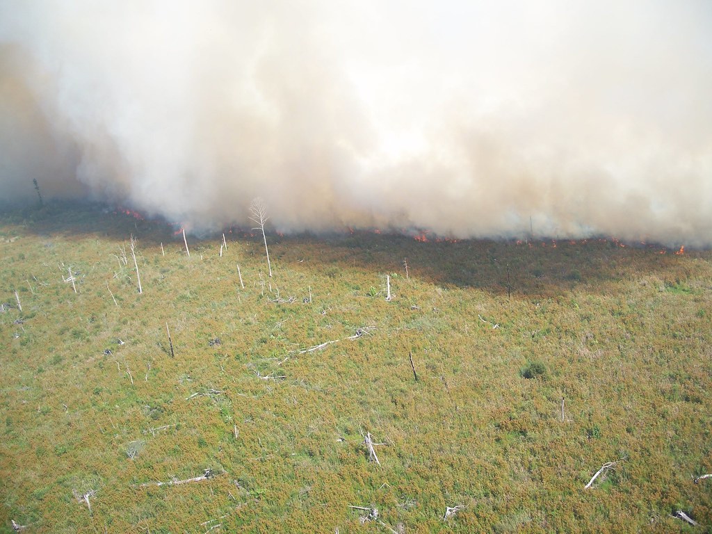 Smoke front on Dismal Swamp