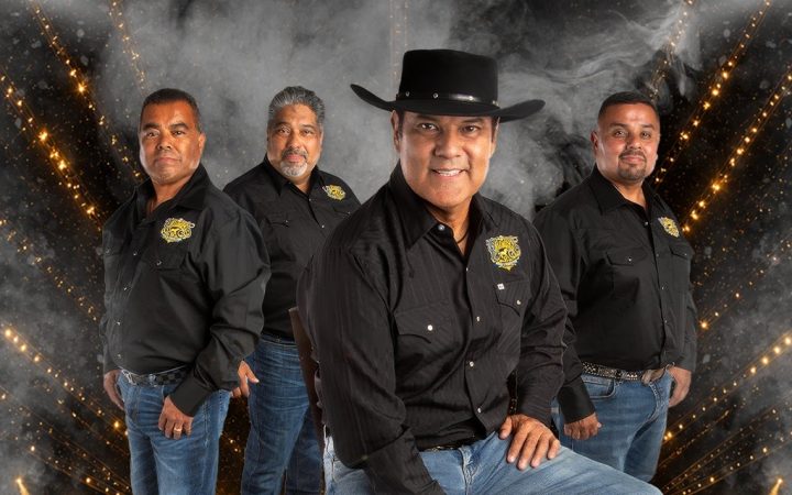 Los Palominos