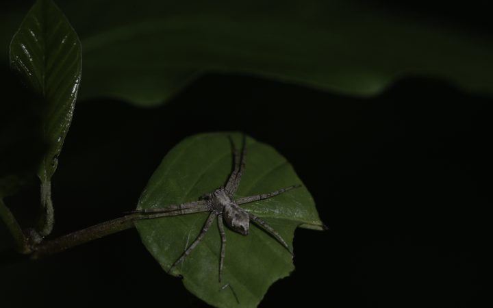 Files from Flickr (uncategorized 2021) (50092269827)